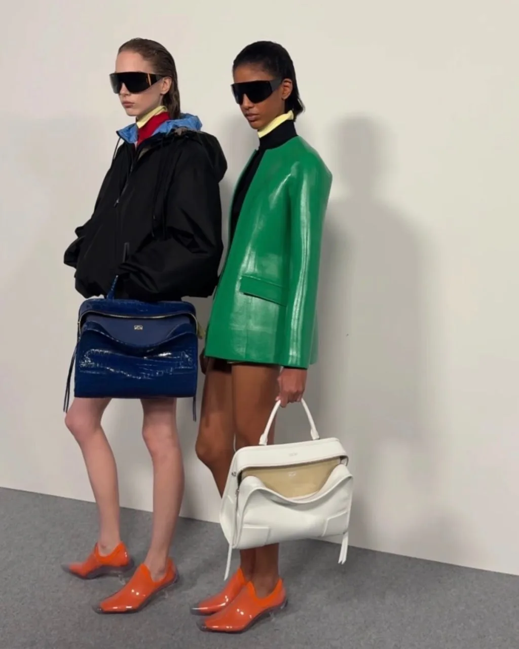 Loewe Amazona