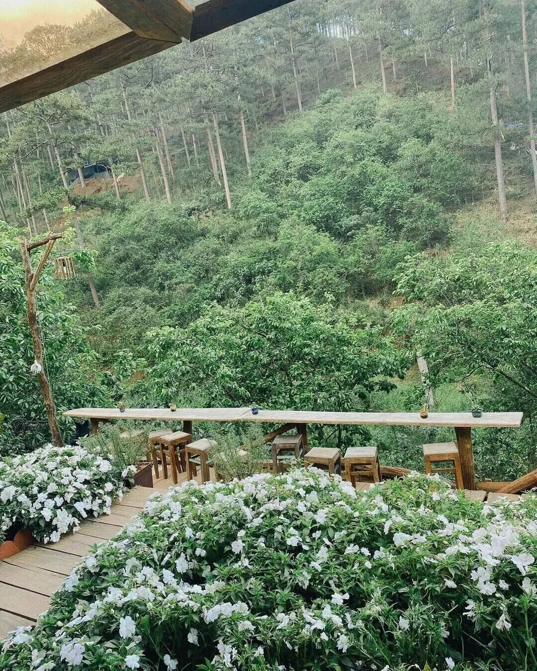 quán cà phê phía chân đồi đà lạt