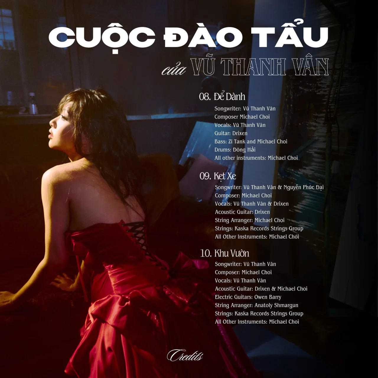 vũ thanh vân