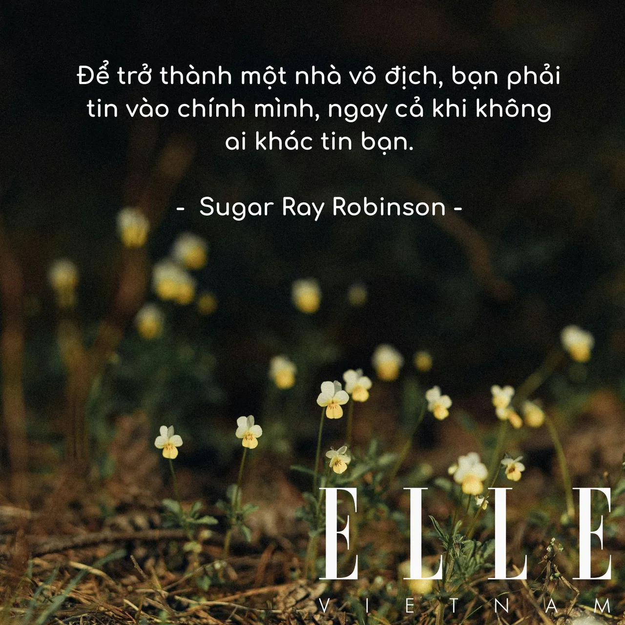 câu nói hay truyền động lực của Sugar Ray Robinson, võ sĩ quyền Anh chuyên nghiệp người Mỹ.