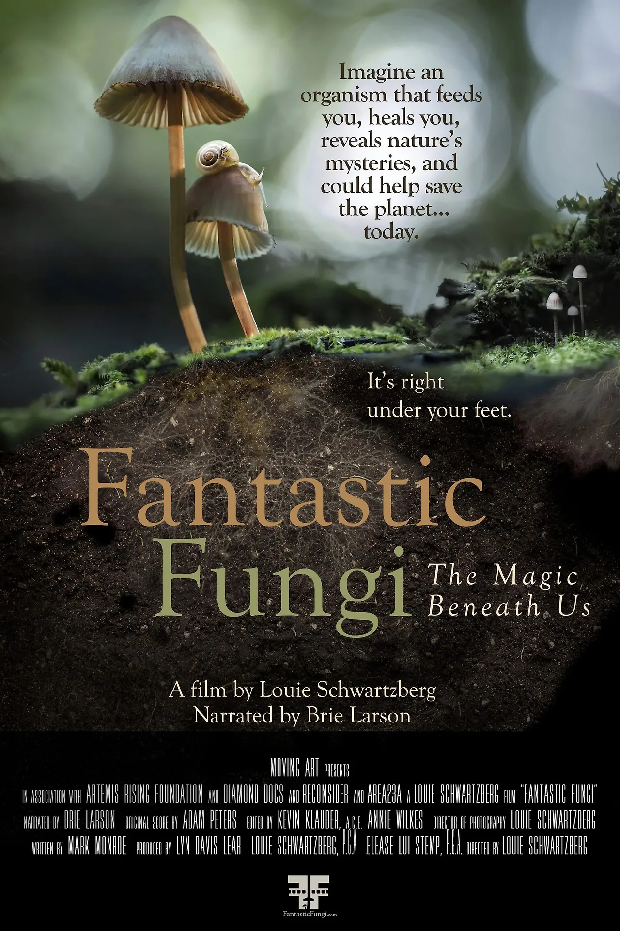 phim tài liệu Fantastic Fungi