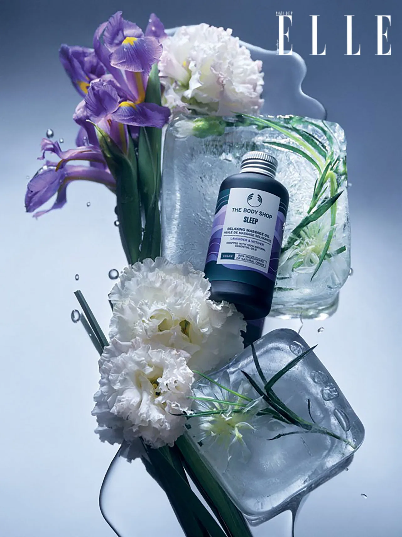 sản phẩm dầu thuần chay the body shop sản phẩm dầu thuần chay the body shop