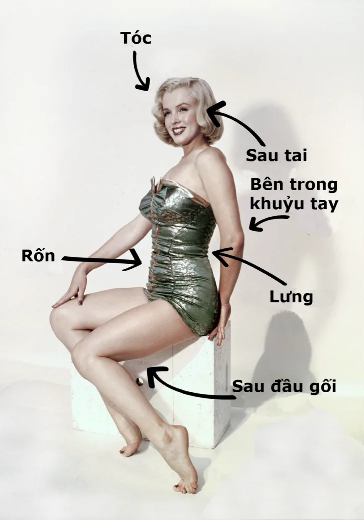 7 vị trí xịt nước hoa chuẩn nhất trên cơ thể 7 vị trí xịt nước hoa chuẩn nhất trên cơ thể