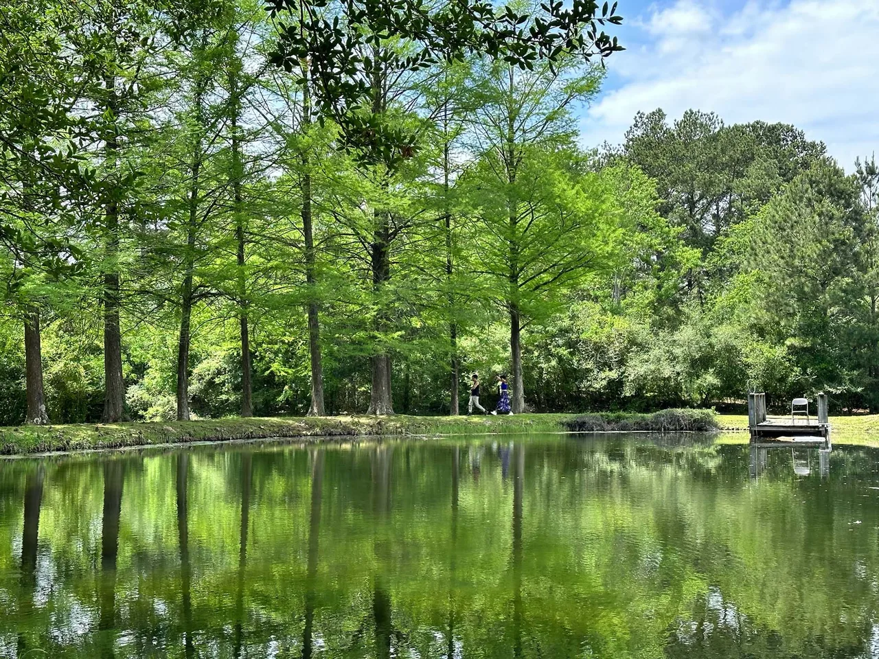 thiên nhiên sống chậm ở cypress thiên nhiên sống chậm ở cypress