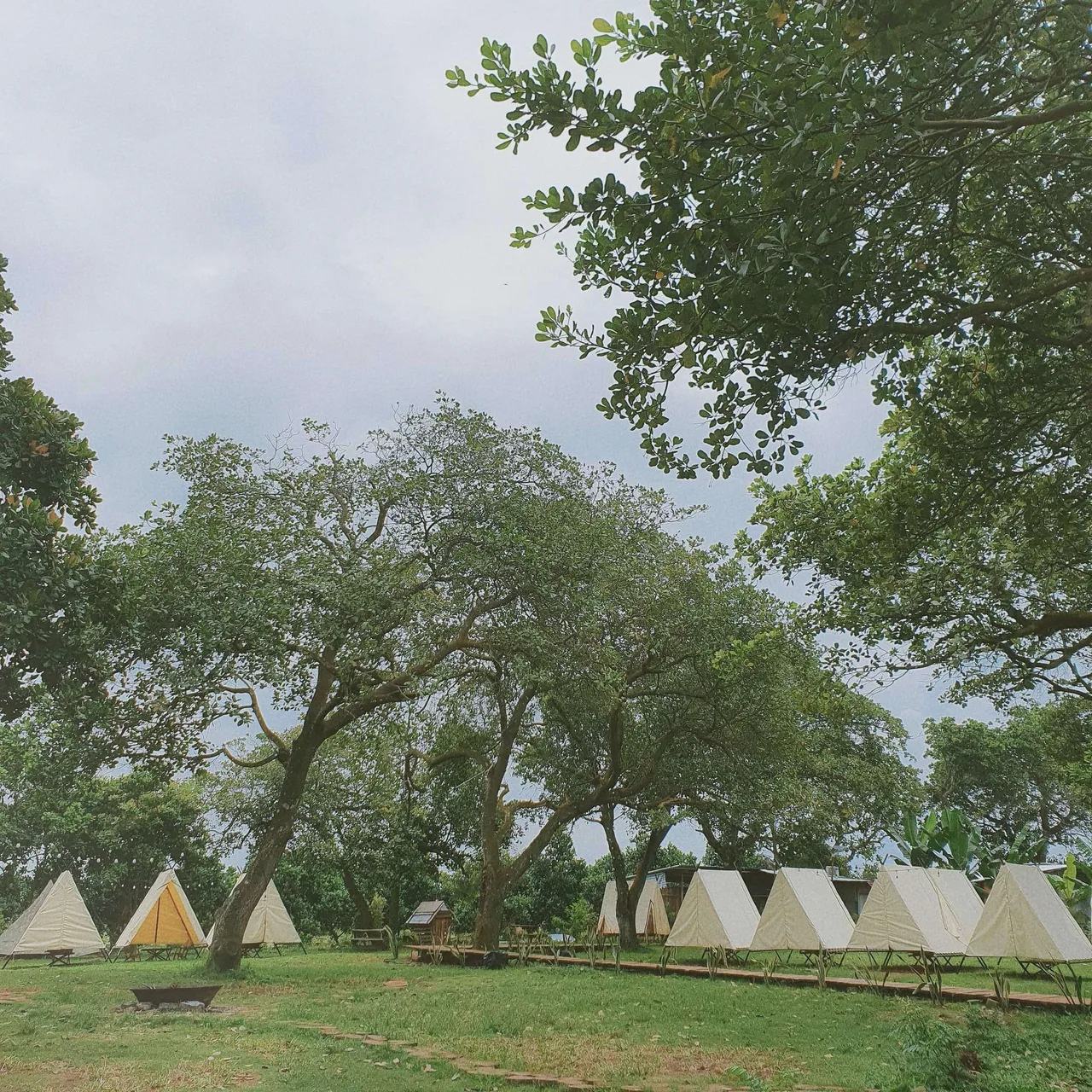 Dã ngoại gần sài gòn Tropical eglamping