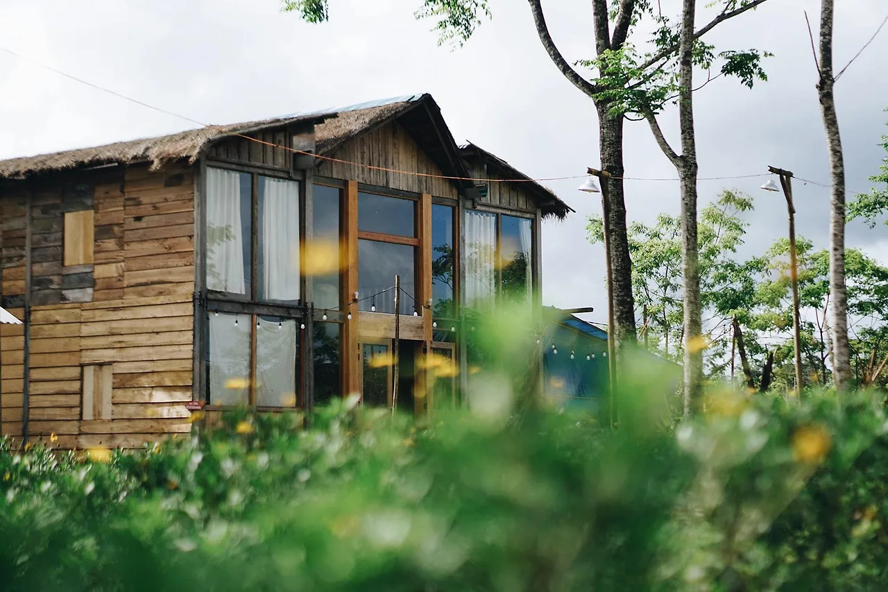 dược liệu trồng tại farmstay dược liệu trồng tại farmstay