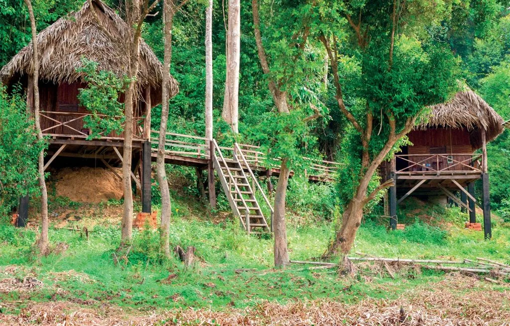 tự nhiên nhà sàn trong rừng tự nhiên nhà sàn trong rừng