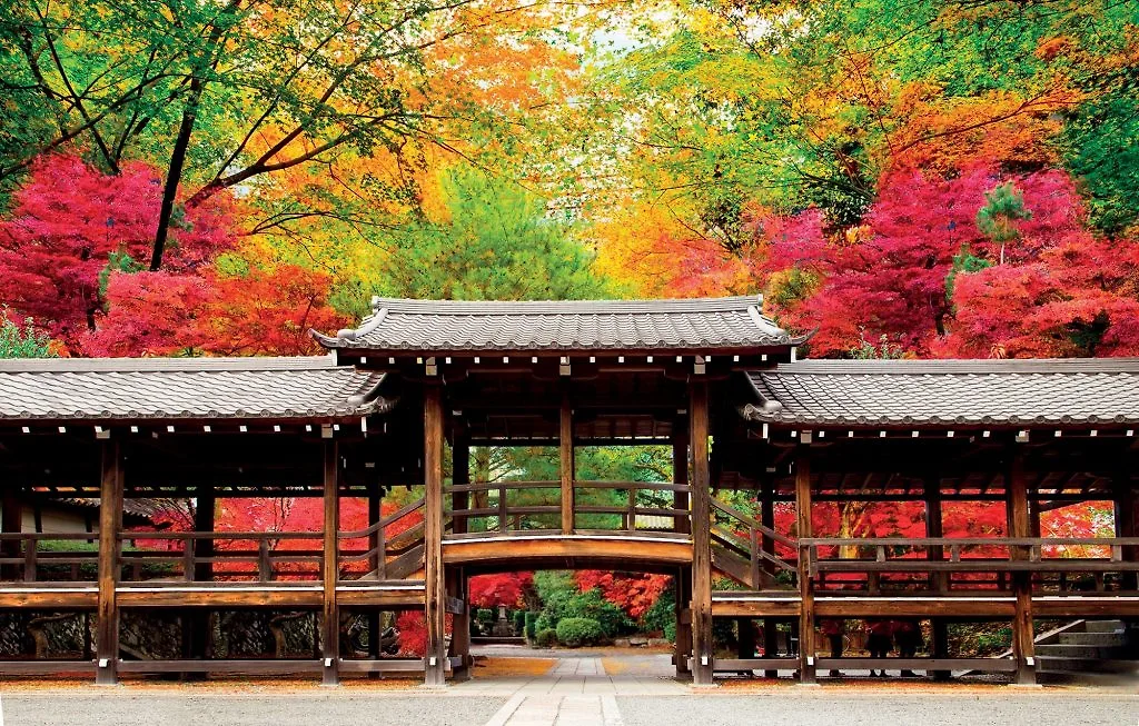 địa điểm cung cấp tour trị liệu địa điểm cung cấp tour trị liệu
