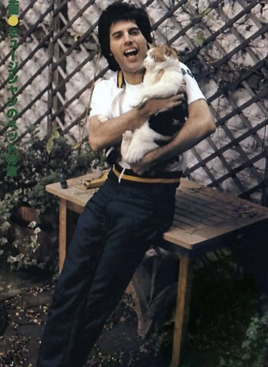 elle việt nam freddie mercury4