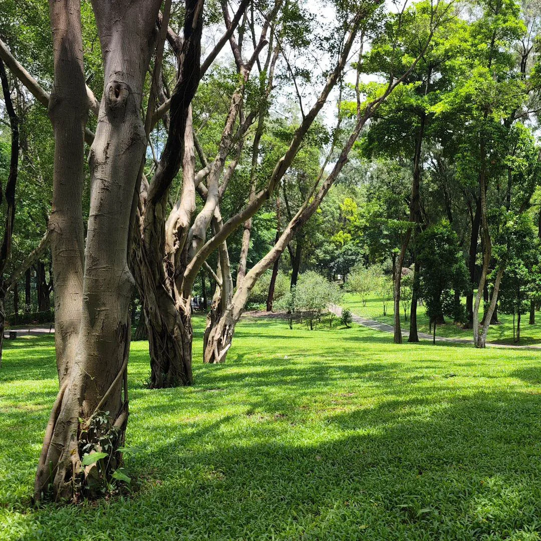 liên hoa sơn