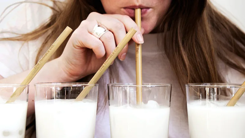 Phân vân giữa sữa đậu nành và sữa bò Phân vân giữa sữa đậu nành và sữa bò