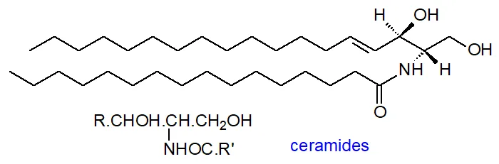 Ceramide là thành phần giúp cải thiện hàng rào bảo vệ da, phục hồi tổn thương và giúp da tránh tình trạng thất thoát độ ẩm. Ceramide là thành phần giúp cải thiện hàng rào bảo vệ da, phục hồi tổn thương và giúp da tránh tình trạng thất thoát độ ẩm.