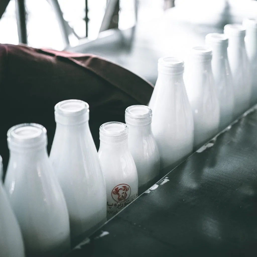 Vitamin D-Những chai sữa. Vitamin D-Những chai sữa.