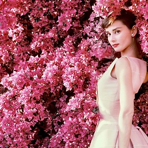 diễn viên Audrey Hepburn 15