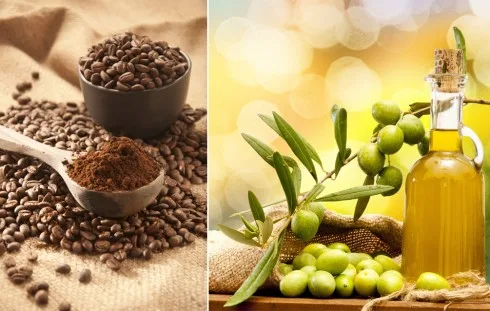 Trị khô da, rạn da meo lam dep da tu ca phe va dau olive