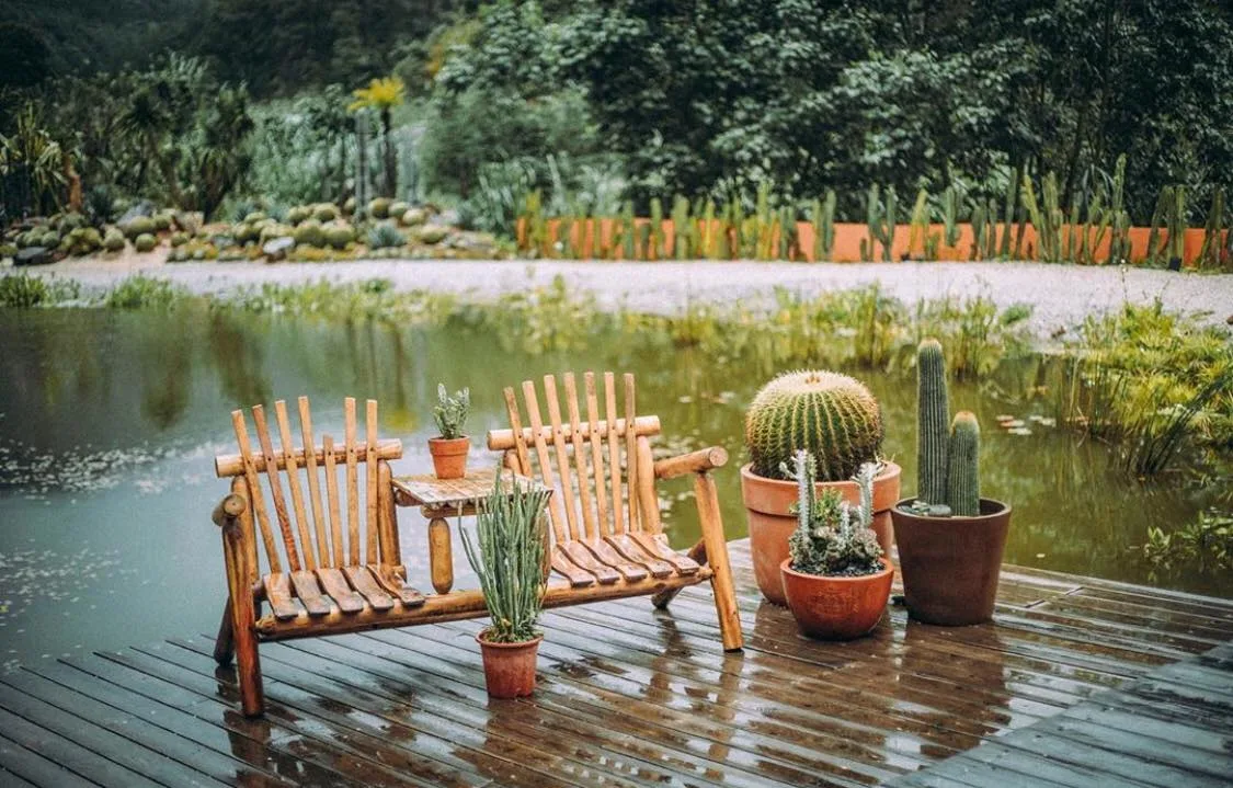Ghế ngồi ở Kombi Land