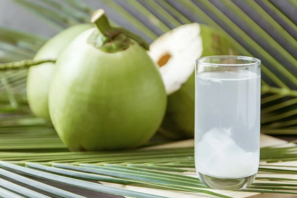 trái cây giải nhiệt - ly nước và trái dừa