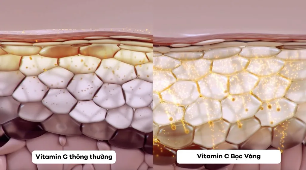 công nghệ vitamin C tinh khiết bọc vàng công nghệ vitamin C tinh khiết bọc vàng