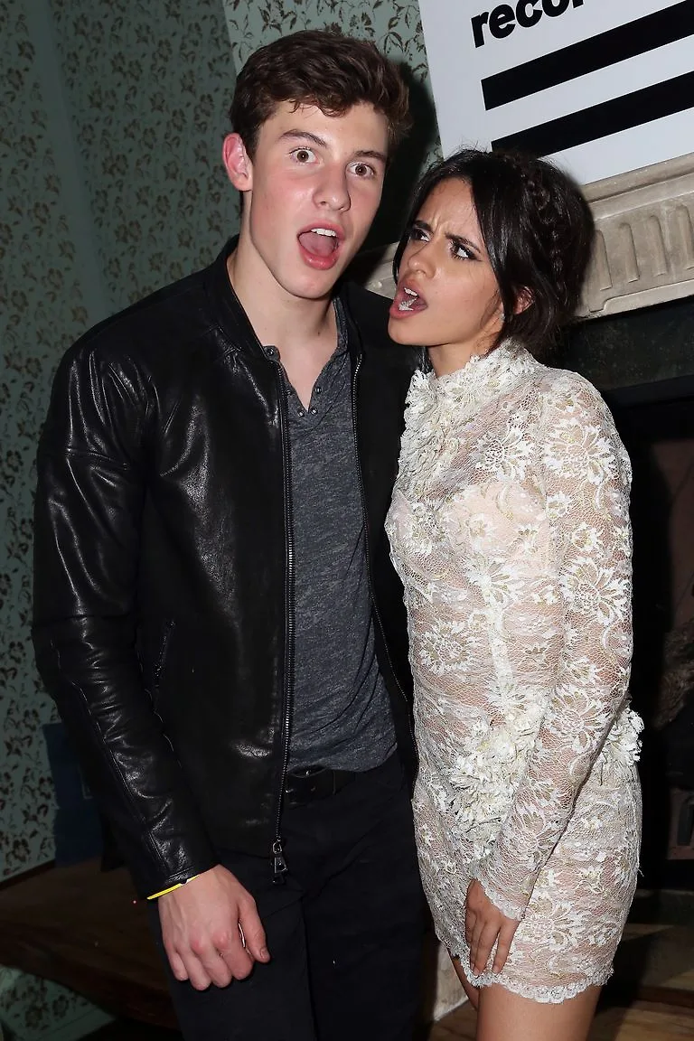 shawn và camila tại video music awards 2015