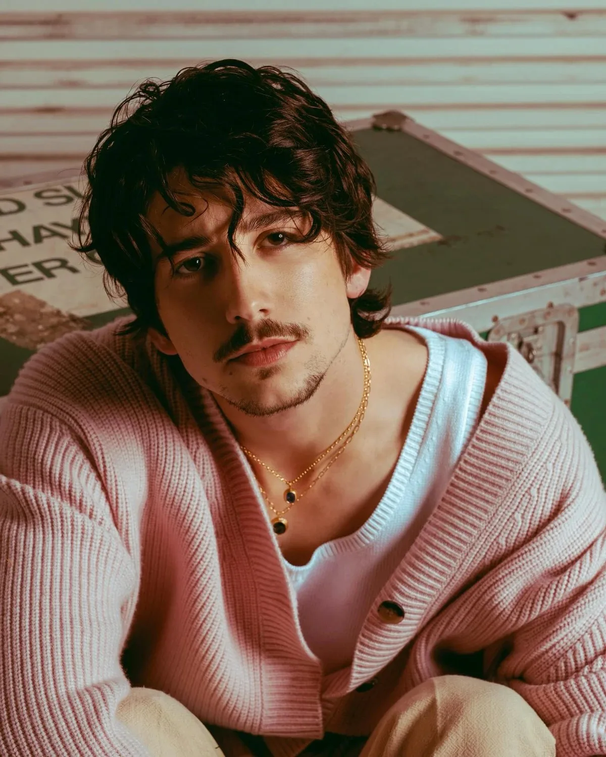 Nam diễn viên Milo Manheim.