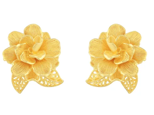 Hinh prima gold 01