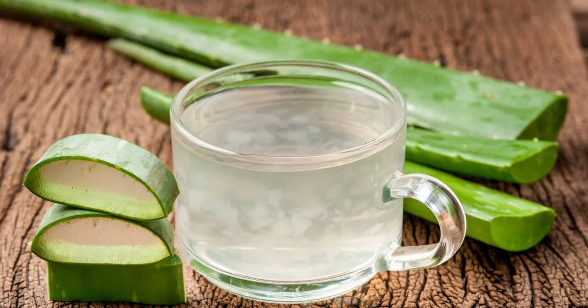 Trẻ hóa làn da với nước ép nha đam Trẻ hóa làn da với nước ép nha đam
