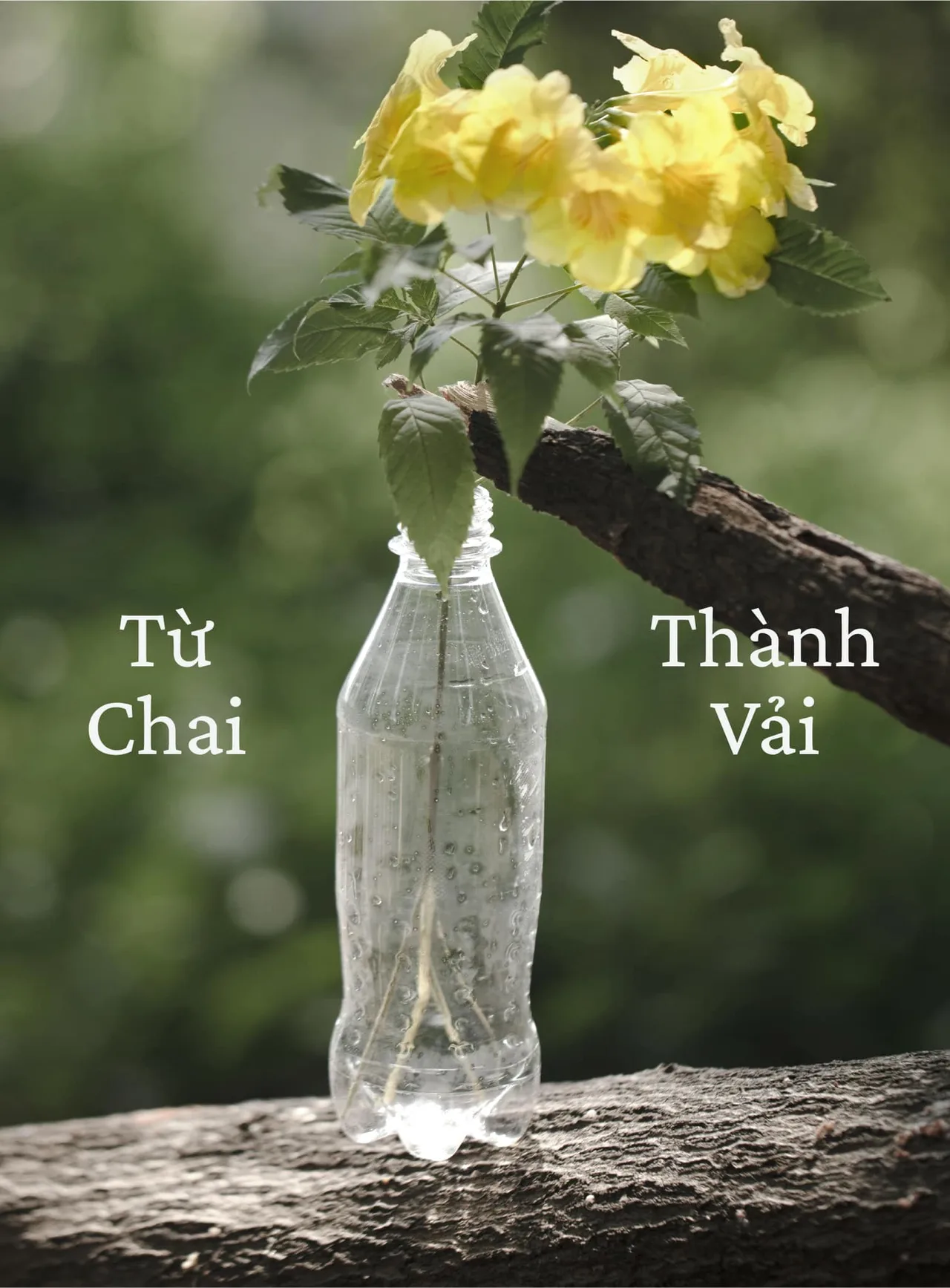 Chai thành vải trong may mặc The Blue T-shirt