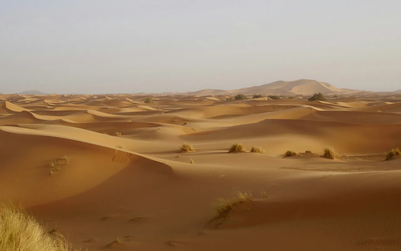 cồn cát tại maroc