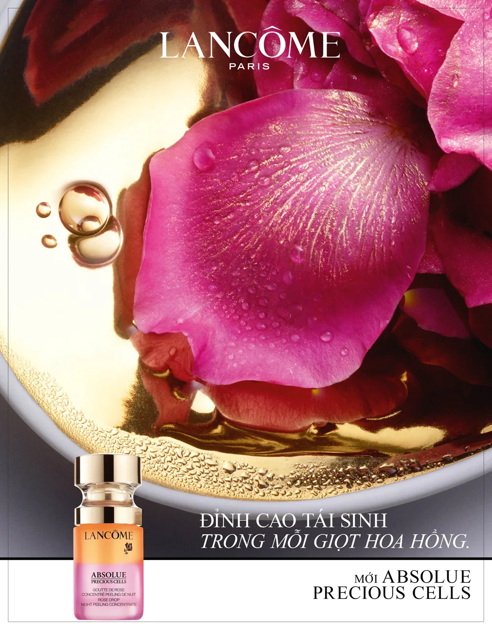 Absolue Rose Drop Night Peeling Concentrate Lancôme 2 Absolue Rose Drop Night Peeling Concentrate Lancôme 2