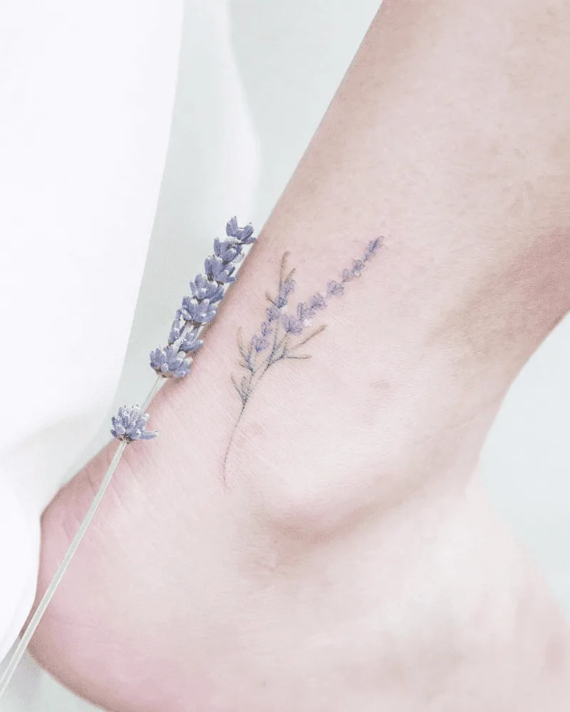 hình xăm hoa oải hương hình xăm hoa oải hương