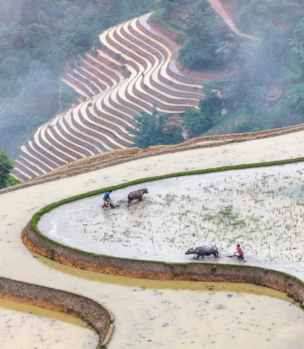 Hoàng Su Phì ruộng bậc thang Hoàng Su Phì ruộng bậc thang