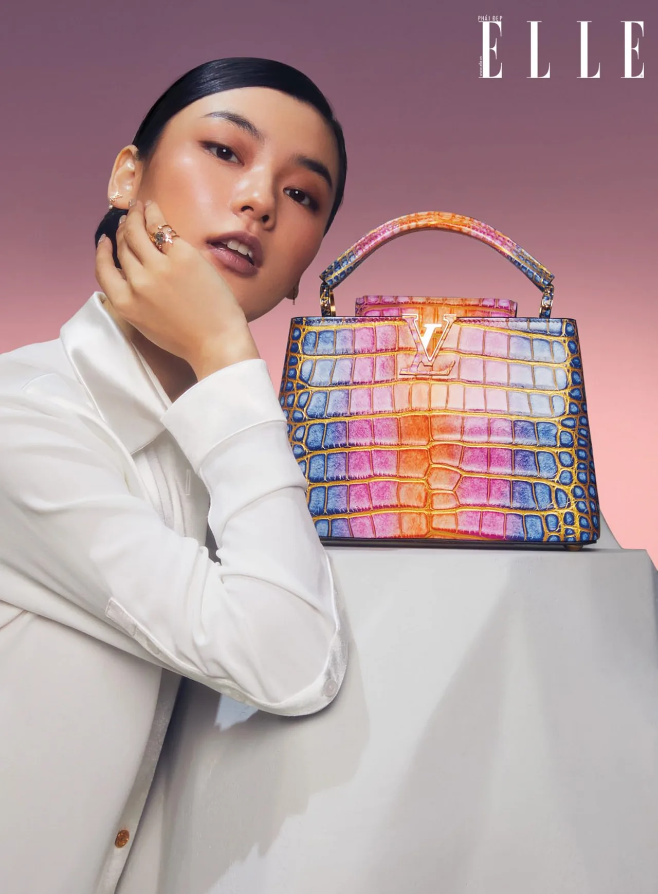 Louis Vuitton túi capucines LV túi capucines da exotic