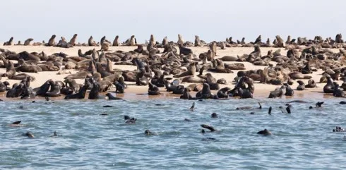 Du lich Namibia tieng goi noi hoang da 13