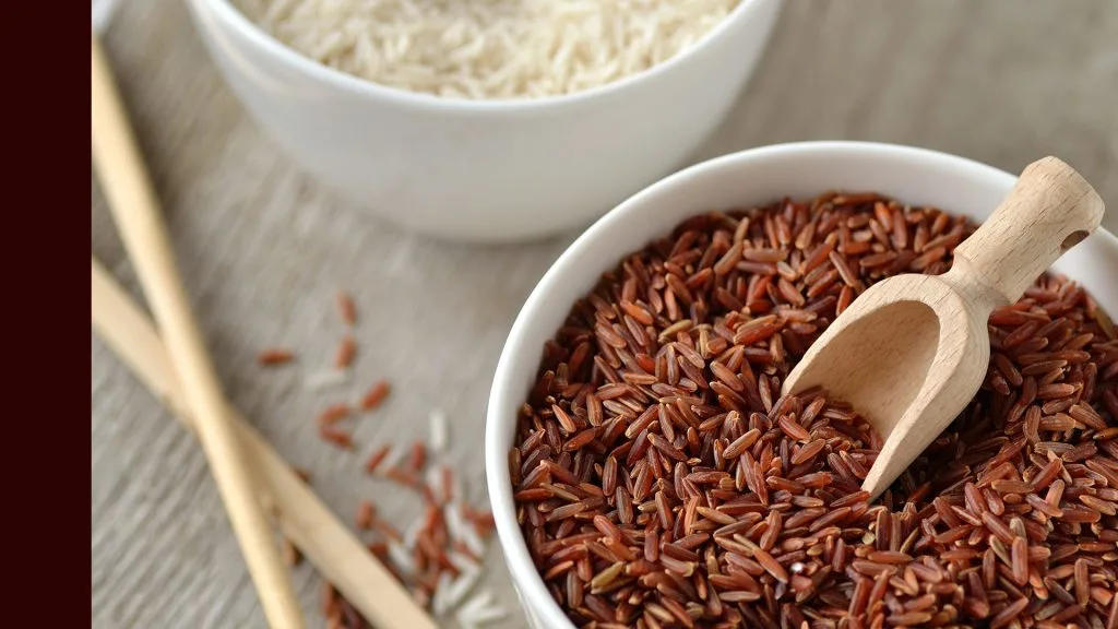 hàm lượng dinh dưỡng 6 hàm lượng dinh dưỡng 6
