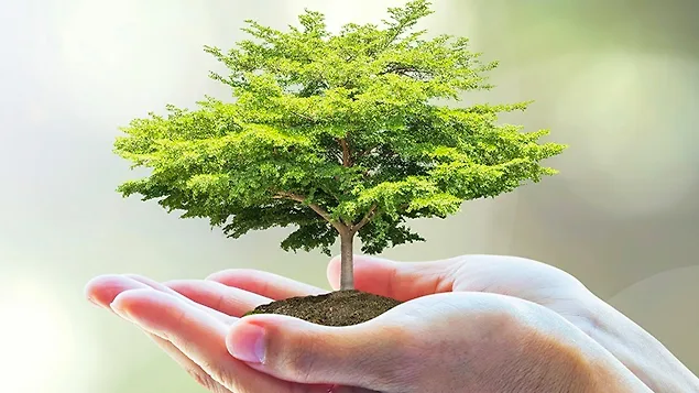 Bài viết liên quan
