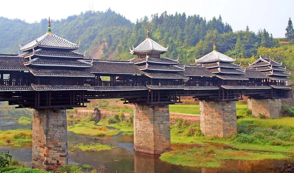 cây cầu 10