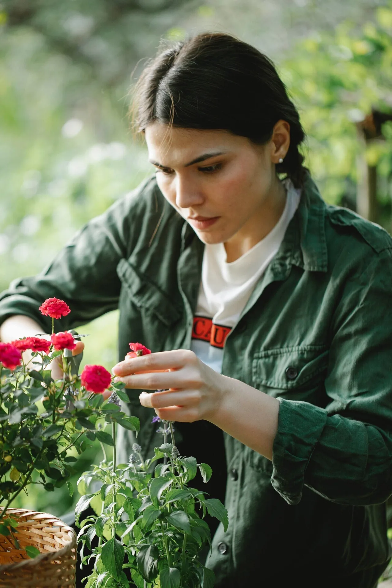 cô gái tỉa hoa