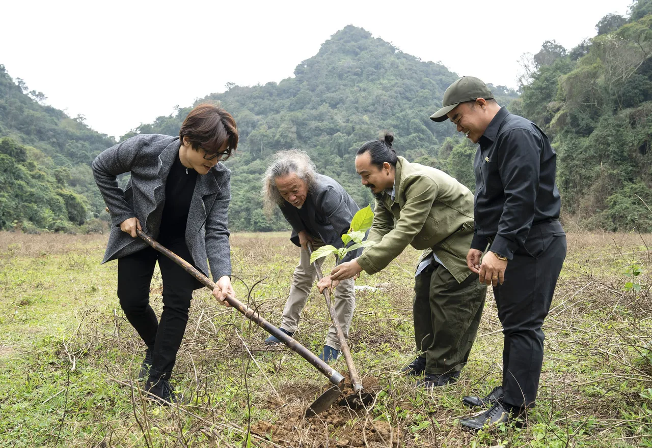 Rừng Việt Nam trồng cây gây rừng Rừng Việt Nam trồng cây gây rừng