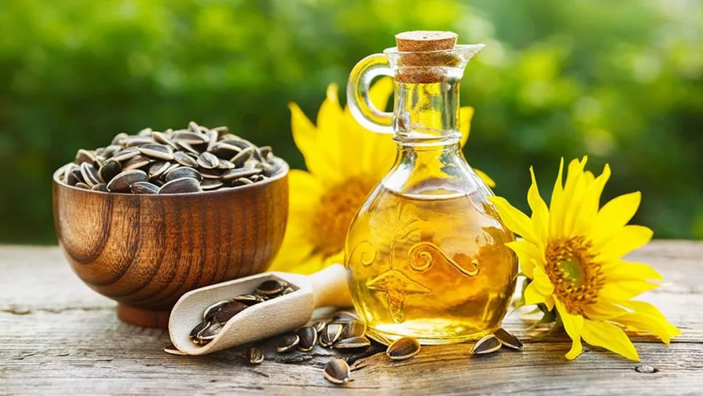 Hạt và dầu hướng dương giàu vitamin E tốt cho cơ thể. Hạt và dầu hướng dương giàu vitamin E tốt cho cơ thể.