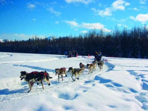 Xe do chó kéo là một trong những phương tiện giao thông của Alaska.