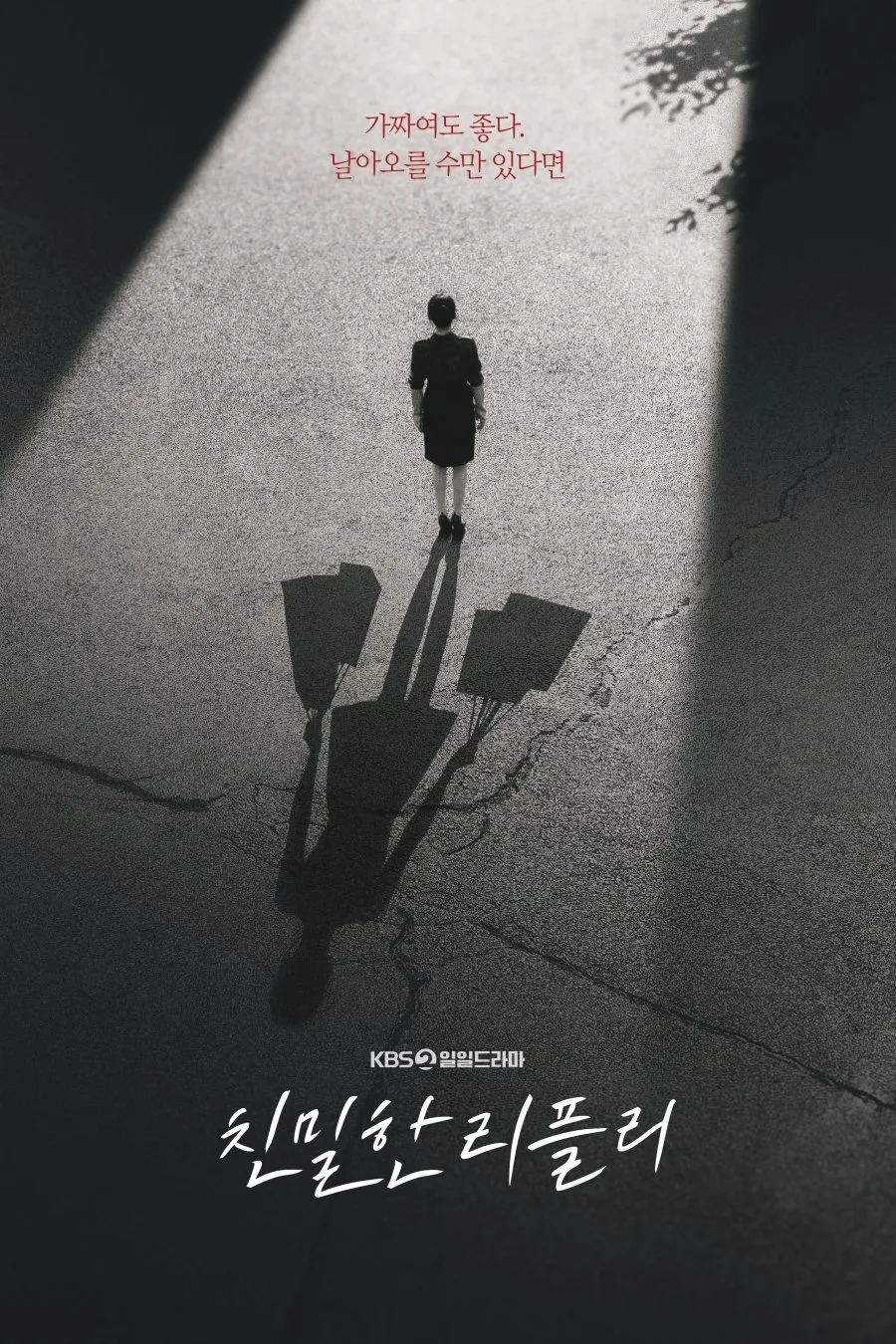 poster phim hàn quốc a graceful liar