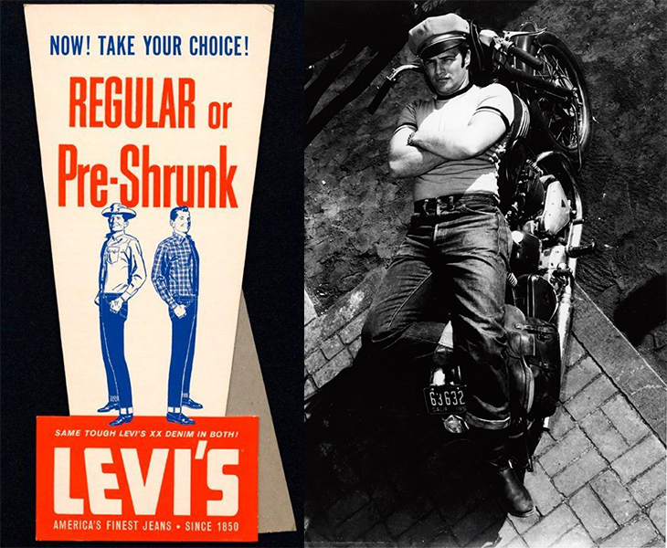elle việt nam thương hiệu levi's 1