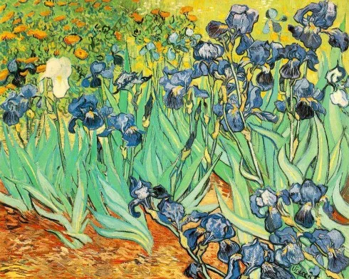 Irises - Một bức hội họa của Vincent Van Gogh