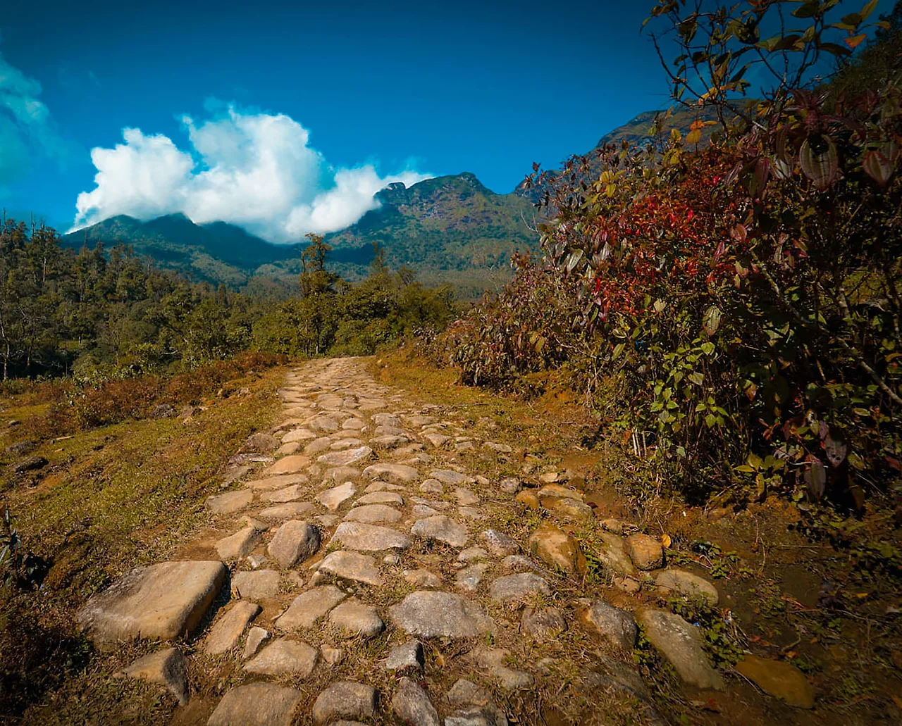 địa điêm cung đường trekking Lai Châu