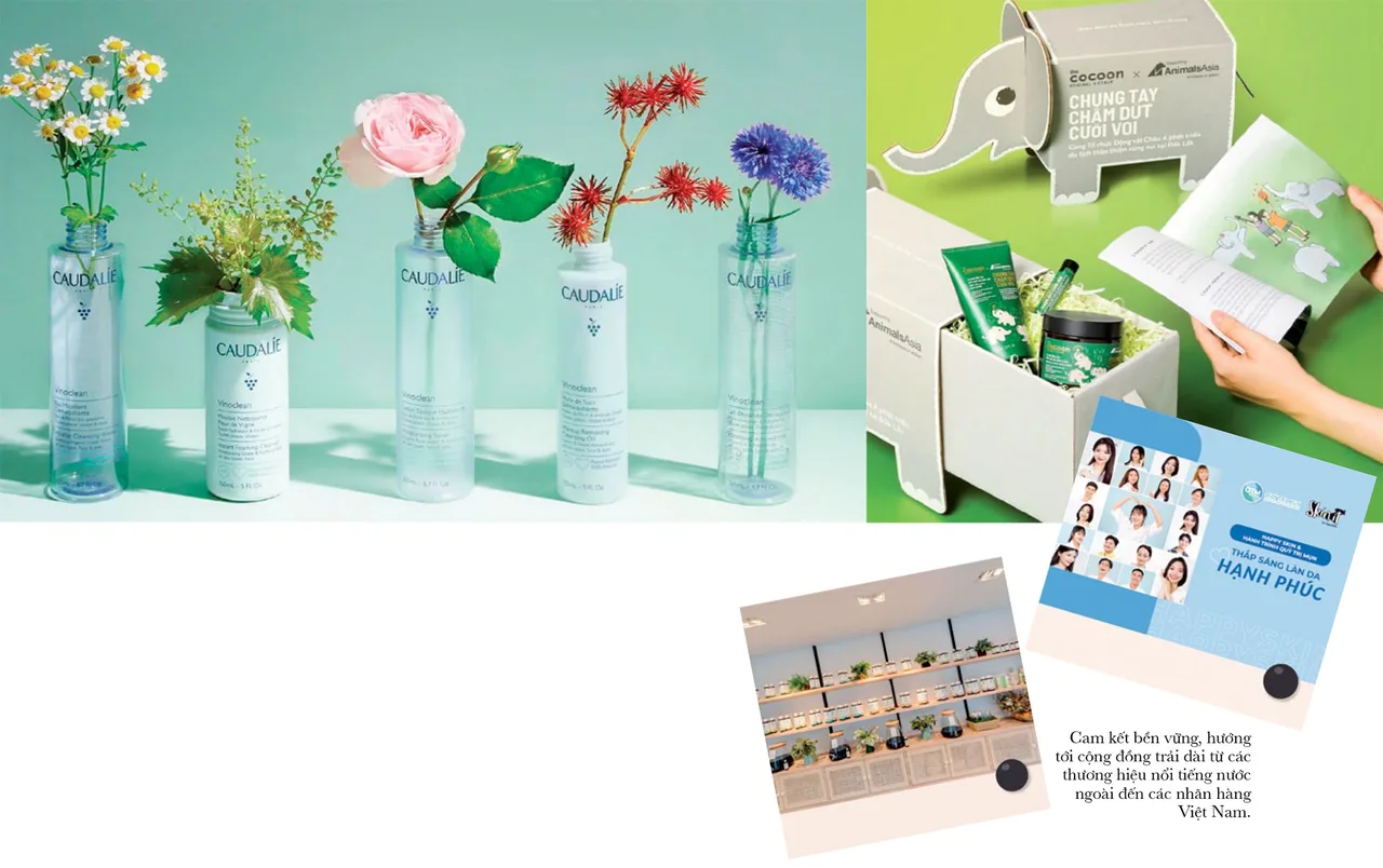 bền vững của các thương hiệu bền vững của các thương hiệu