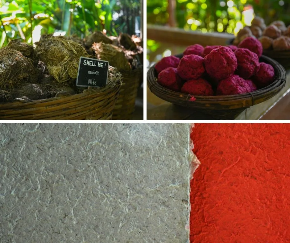 giấy từ phân voi