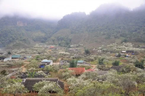 Toàn cảnh bản Lóng Luông