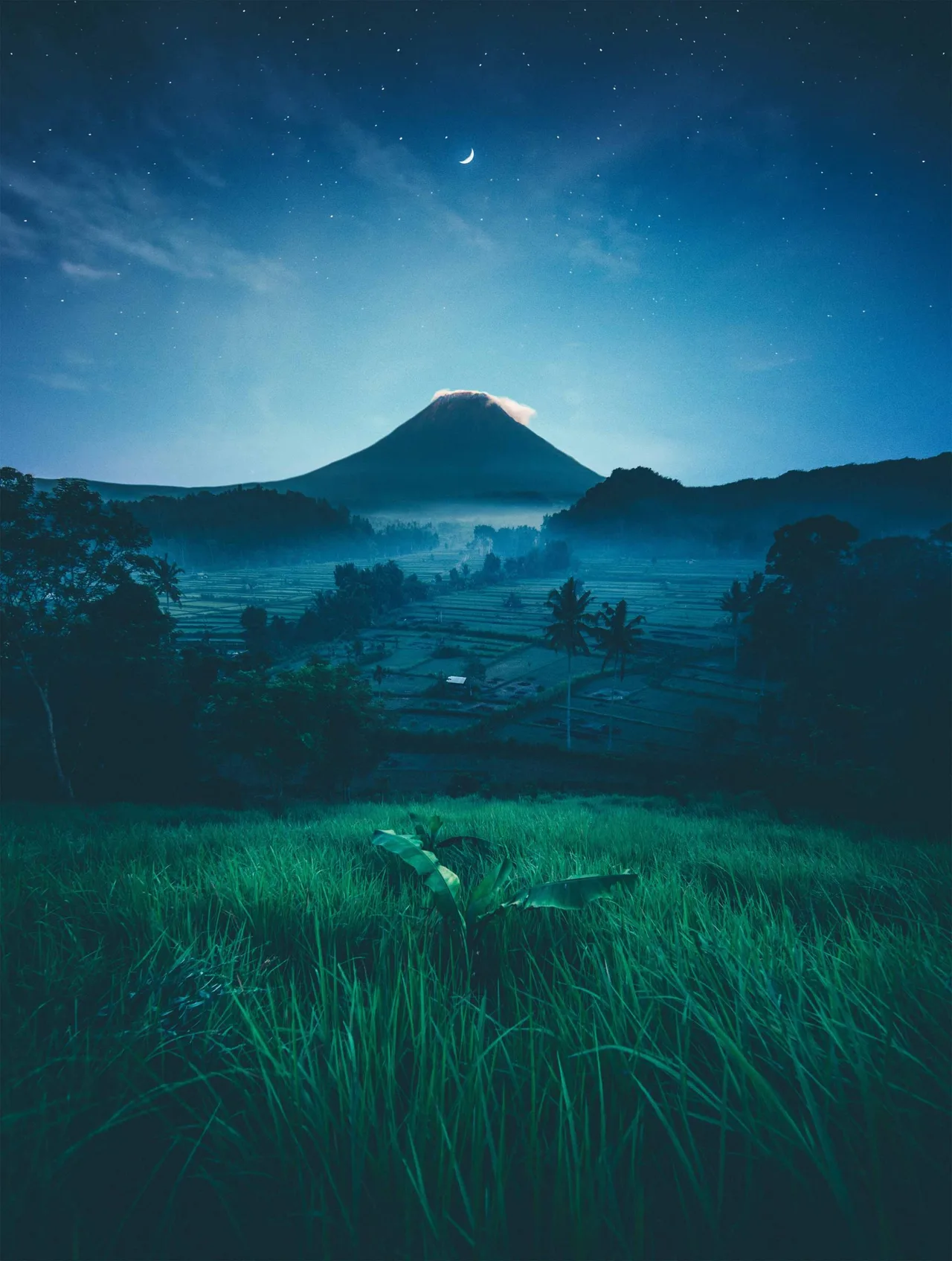 đêm đầy sao của bali