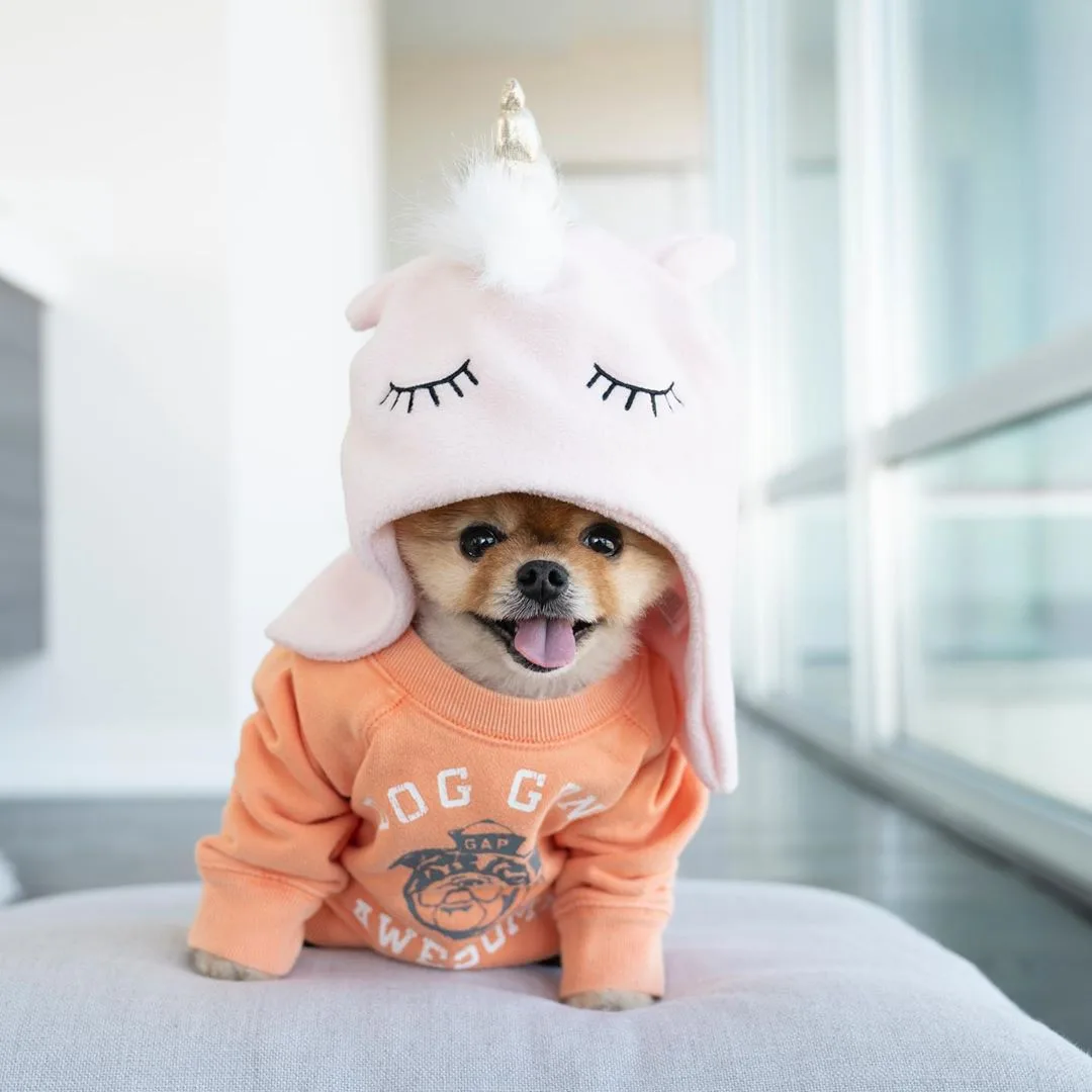 tài khoản instagram của Jiffpom