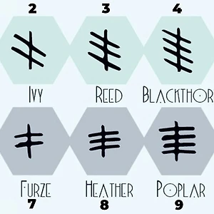 trắc nghiệm ký tự ogham